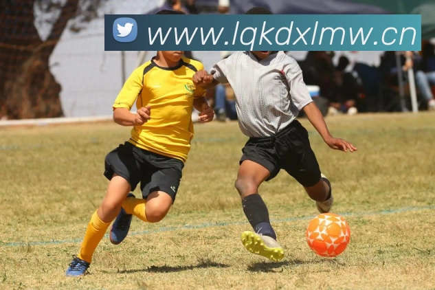 mk体育官方网站登录平台生态图